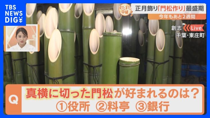 正月飾りの「門松作り」が最盛期！竹の切り方に込められた意味とは？【すたすた中継】｜TBS NEWS DIG