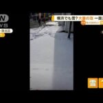 横浜でも雪？　“大量の泡”で一面真っ白【知っておきたい！】【グッド！モーニング】(2023年12月19日)