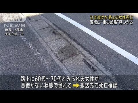 ひき逃げか　路上で女性倒れ死亡　現場で“車の部品”見つかる　埼玉(2023年12月21日)