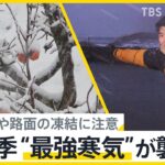 「ついに来たなって感じ」日本海側では強風と大雪が…今季“最強寒気”が襲来｜TBS NEWS DIG
