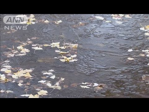 【気象予報士解説】“強烈寒波”日本海側で大雪続く　太平洋側も厳寒 東京で初氷(2023年12月22日)