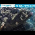 中国政府　台湾産高級魚「ハタ」の輸入再開を発表(2023年12月22日)