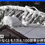 停電・集落孤立相次ぎ復旧のめど立たず　石川・能登地方の記録的大雪 ｜TBS NEWS DIG