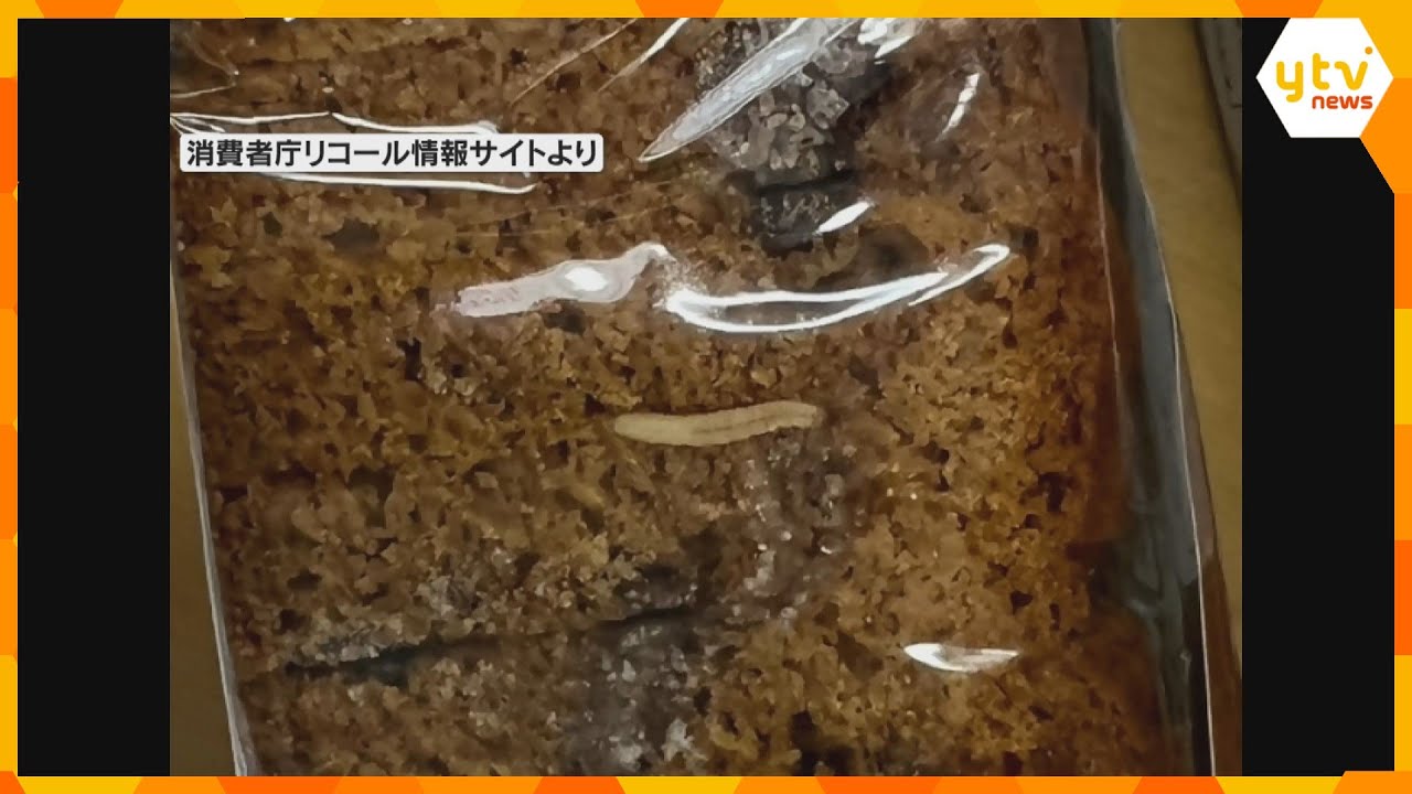 焼き菓子に幼虫が混入　阪急うめだ本店のクリスマスマーケットで販売　在庫57個中5個への混入が発覚