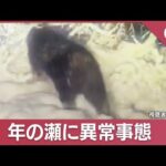 “年の瀬”もクマ目撃情報相次ぐ　異常事態に“警報延長”【スーパーJチャンネル】(2023年12月28日)