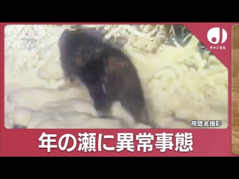 “年の瀬”もクマ目撃情報相次ぐ　異常事態に“警報延長”【スーパーJチャンネル】(2023年12月28日)