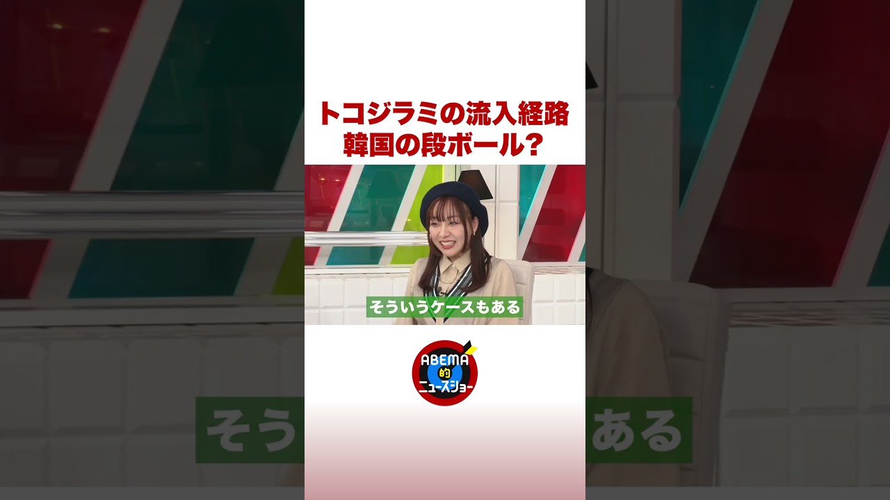 トコジラミの流入経路 韓国のダンボール？ #ABEMA的ニュースショー #shorts