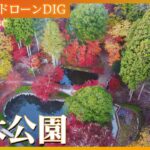岐阜・曽木公園　湖面に映る紅葉【JNN 紅葉ドローンDIG 2023】| TBS NEWS DIG