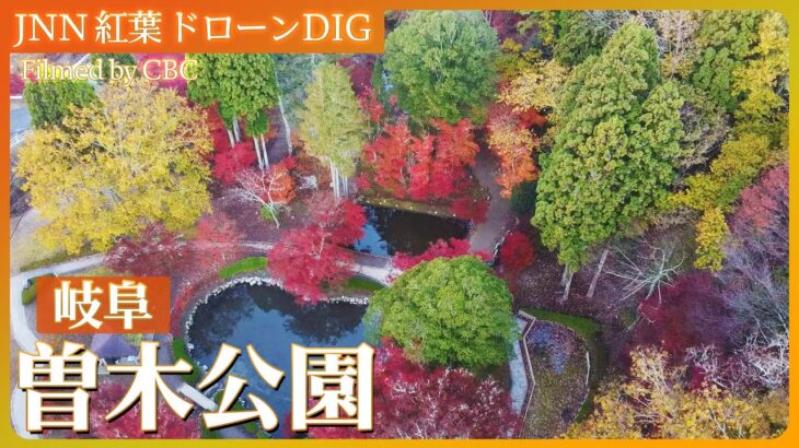 岐阜・曽木公園　湖面に映る紅葉【JNN 紅葉ドローンDIG 2023】| TBS NEWS DIG