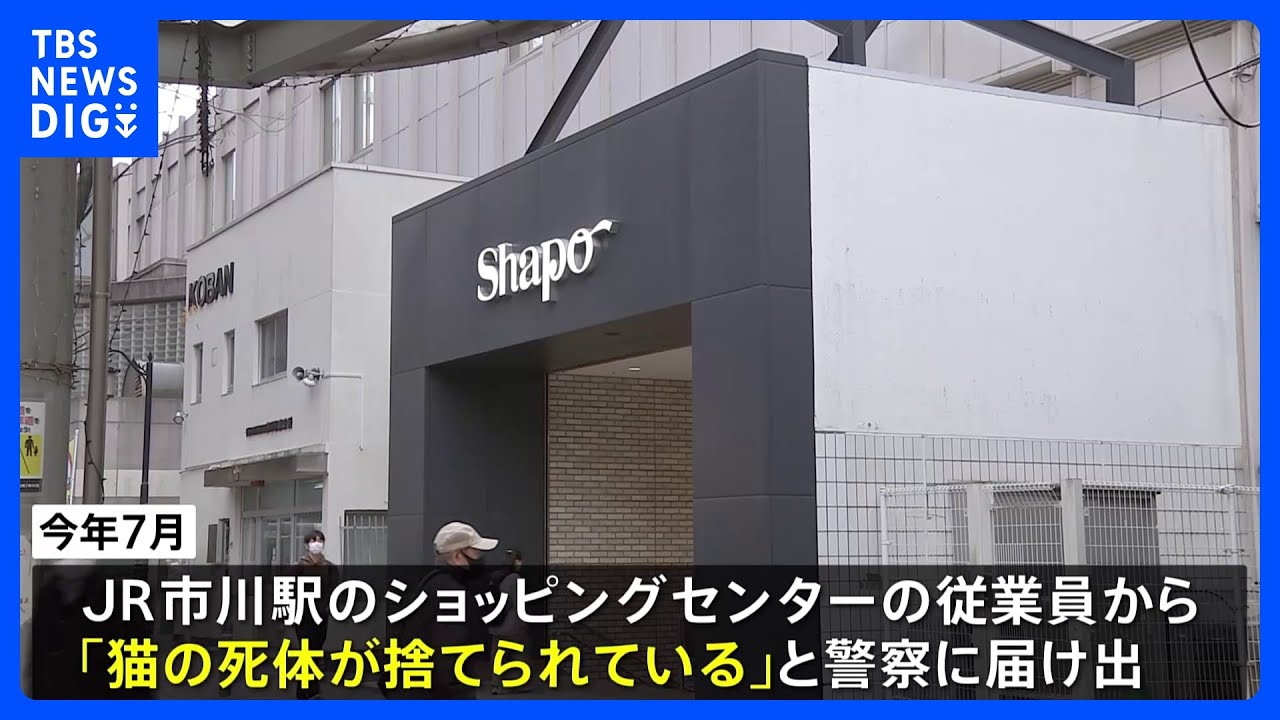 女子トイレに猫の死骸　千葉・JR市川駅直結のショッピングセンターで相次ぎ発見｜TBS&nbsp;NEWS&nbsp;DIG