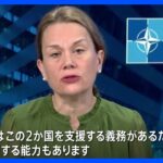 米NATO大使 単独インタビュー「2か国を支援する義務、実行能力もある」 ウクライナ、イスラエルに対し支援継続の意向｜TBS NEWS DIG