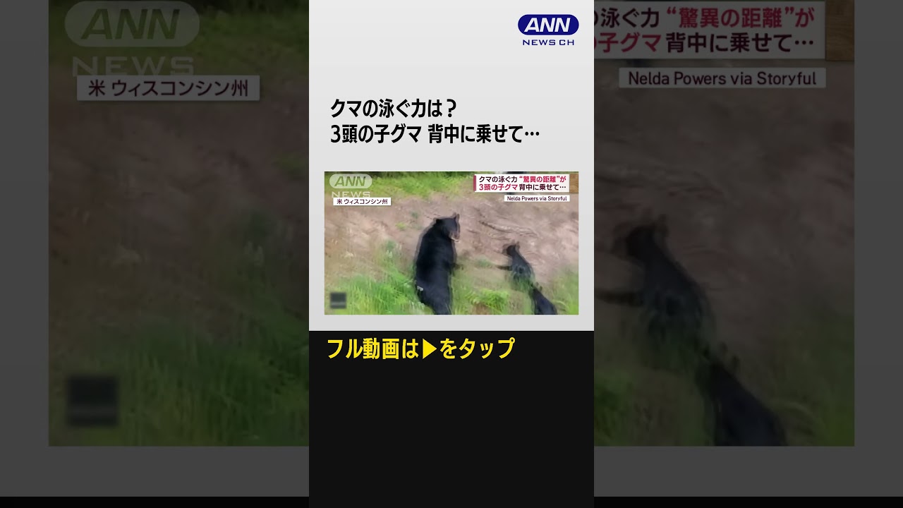 #shorts 「関門海峡渡る能力ある」身体能力　定置網にかかるクマ