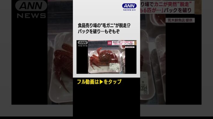 #shorts 生鮮食品売り場の“毛ガニ”が…突如動き出す　しかも一匹だけじゃない！？何コレ！