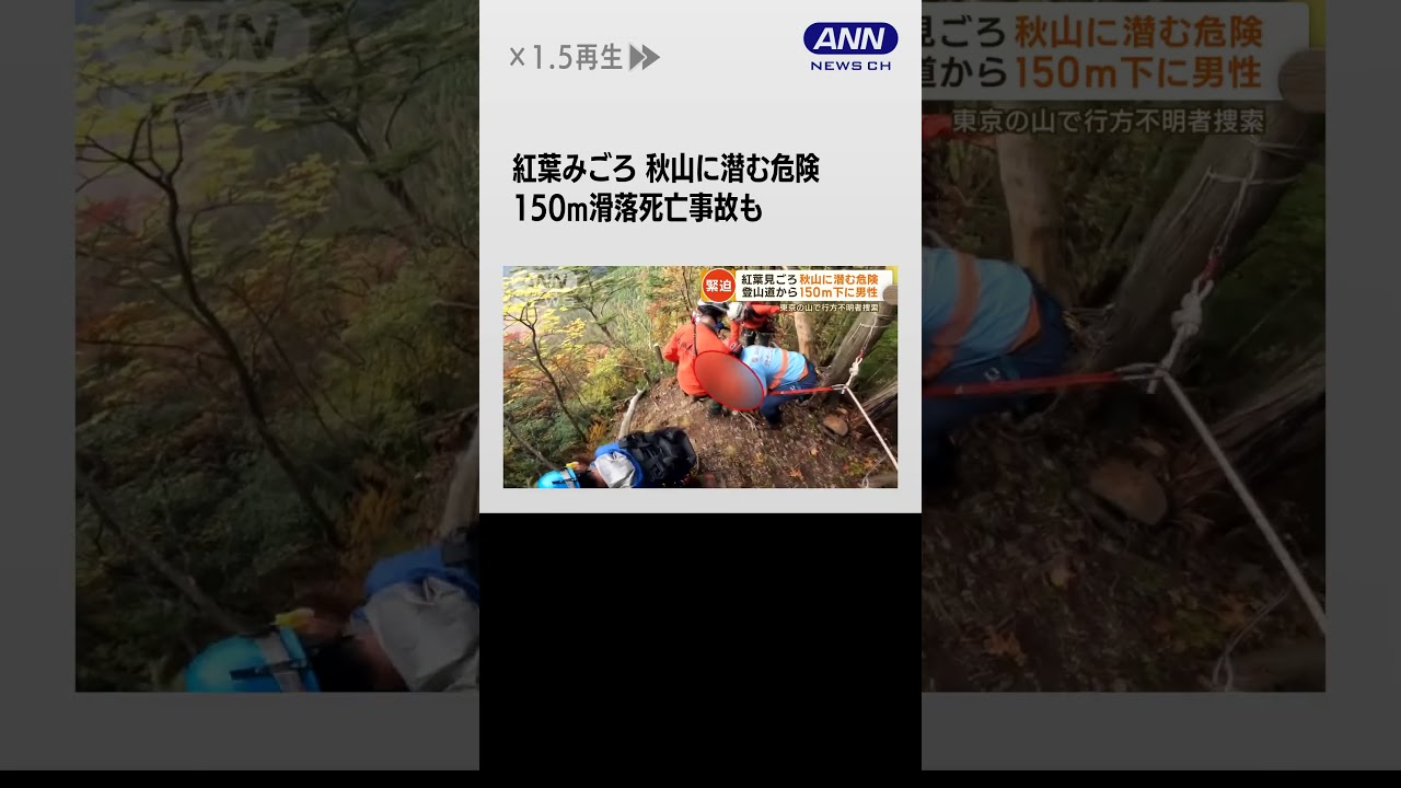 #shorts 紅葉も落ちれば…東京の山に潜む危険　150m滑落死亡事故も　山岳救助隊に密着　クマも