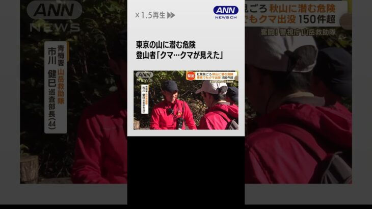 #shorts 紅葉も落ちれば…東京の山に潜む危険　150m滑落死亡事故も　山岳救助隊に密着　クマも