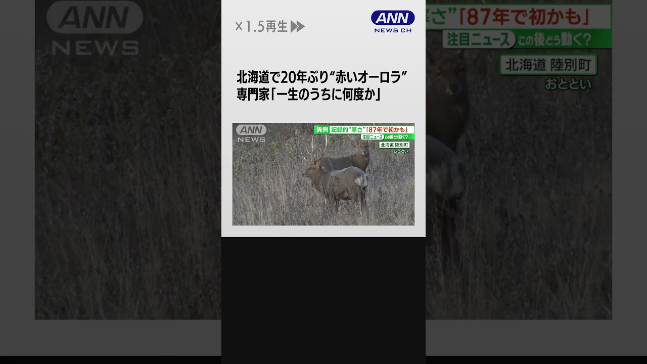 #shorts 北海道で20年ぶりオーロラ観測 “最強寒波”のなか
