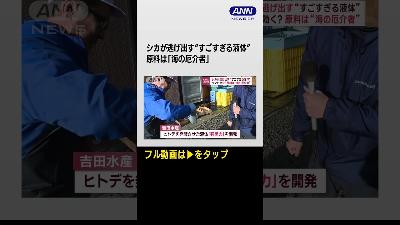 #shorts シカが逃げ出す“すごすぎる液体” クマも効く? 原料は“海の厄介者”