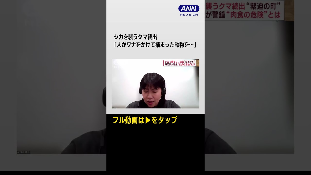 #Shorts シカを襲うクマ続出!“肉食化”で冬眠に影響も?