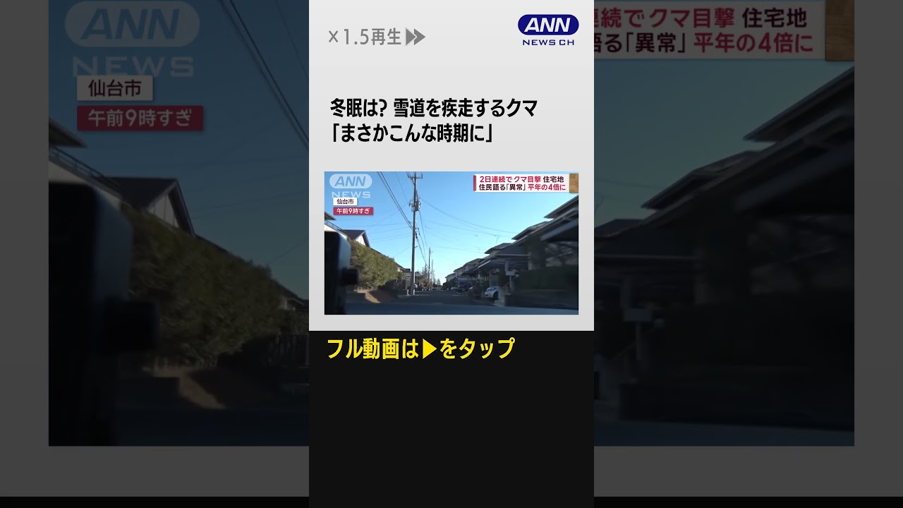 #shorts “年の瀬”もクマ目撃情報相次ぐ　異常事態に“警報延長”【スーパーJチャンネル】