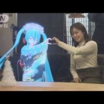 「歌舞伎役者×初音ミク」が生共演　最新技術で息の合った掛け合い実現(2023年12月5日)