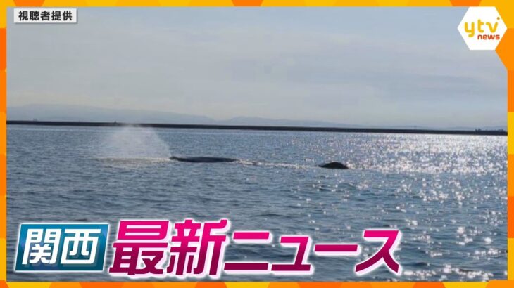【ニュースライブ 1/22(月)】「潮を吹いていた」大阪湾でクジラ目撃相次ぐ/成人式の前撮りで着替え盗撮か/“移動式ランドリー”被災地へ　ほか【随時更新】