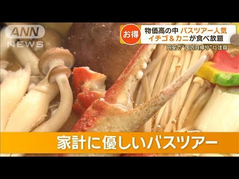 1万円台でカニ、ステーキが食べ放題！円安で“国内日帰り”バスツアー人気【もっと知りたい！】【グッド！モーニング】(2024年1月18日)