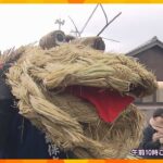 ワラで編んだ大蛇に頭をかまれると健康に…1年間の無病息災を祈る伝統行事「蛇綱」京都・宮津市