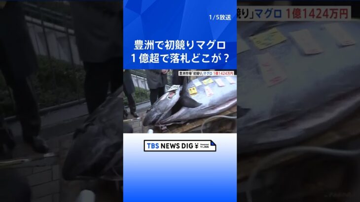 一番マグロは大間産1億1424万円　豊洲市場で初競り｜TBS NEWS DIG #shorts