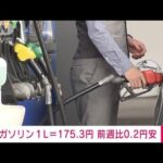 【速報】ガソリン価格175.3円/L　前週比0.2円安(2024年1月17日)