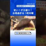 行列ができるジャンボギョーザ　2段盛り特大かつ丼　「安ウマ！お得過ぎる　町中華」｜TBS NEWS DIG#shorts