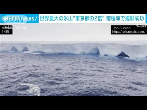 東京都の2倍の面積　世界最大の氷山に遭遇(2024年1月17日)