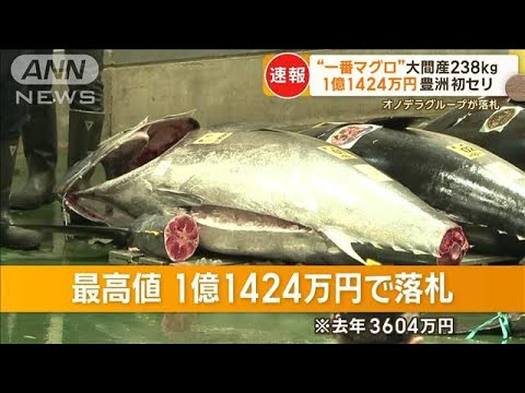 「一番マグロ」大間産238キロは1億1424万円　オノデラグループが落札　豊洲市場初競り【グッド！モーニング】(2024年1月5日)