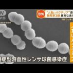 “人食いバクテリア”過去最多　致死率3割…「死を覚悟」片足失った男性　感染経路は【もっと知りたい！】【グッド！モーニング】(2024年1月22日)