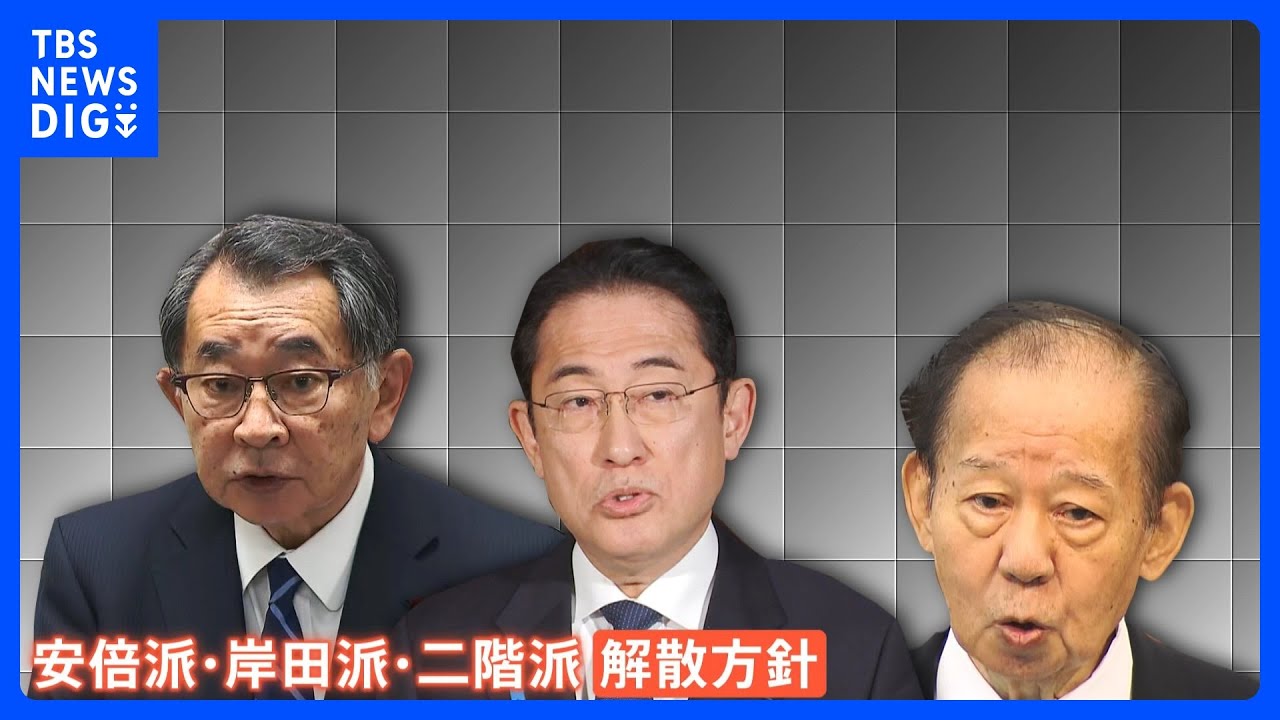 安倍派など3派閥解散　「派閥の解散は論点ずらし」批判の声も　「中間とりまとめの論点」“連座制”の適用も明記へ　自民党の裏金事件｜TBS&nbsp;NEWS&nbsp;DIG