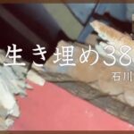 緊迫の38秒間　生き埋めになった男性が必死に撮影　石川・珠洲市（1月1日）【能登半島地震 被害状況マップ】
