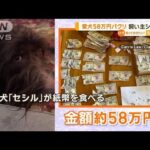 愛犬が“58万円”パクリ　飼い主ショックも…執念の回収　アメリカ【知っておきたい！】【グッド！モーニング】(2024年1月12日)