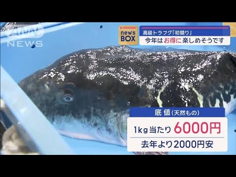 高級トラフグ「初競り」　今年はお得に楽しめそうです【スーパーJチャンネル】(2024年1月5日)