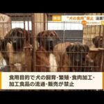 韓国で“犬の食用”禁止へ　法案可決【知っておきたい！】【グッド！モーニング】(2024年1月10日)