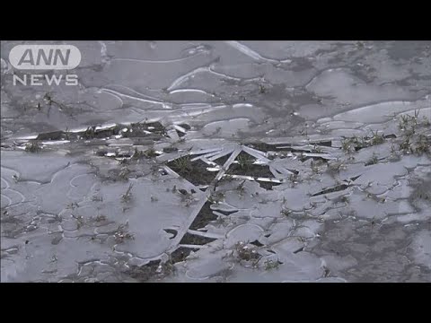 被災地で厳しい冷え込み　日中の日差しは発災後一番(2024年1月11日)