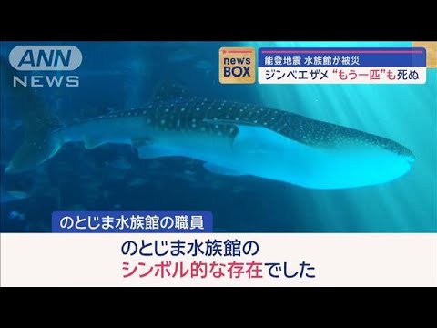 水族館が被災 ジンベエザメ“もう一匹”も死ぬ　石川・七尾市【スーパーJチャンネル】(2024年1月11日)