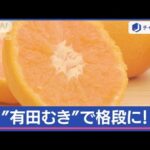 “ミカン”どっちからむく？ヘタ側？逆側？　“有田むき”で格段に変わります！【スーパーJチャンネル】(2024年1月12日)