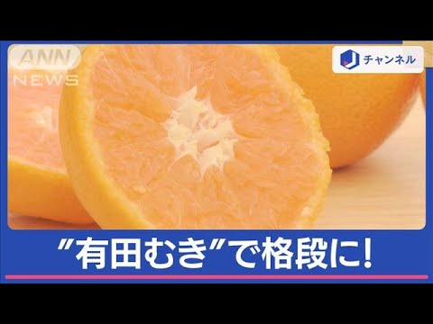 “ミカン”どっちからむく？ヘタ側？逆側？　“有田むき”で格段に変わります！【スーパーJチャンネル】(2024年1月12日)