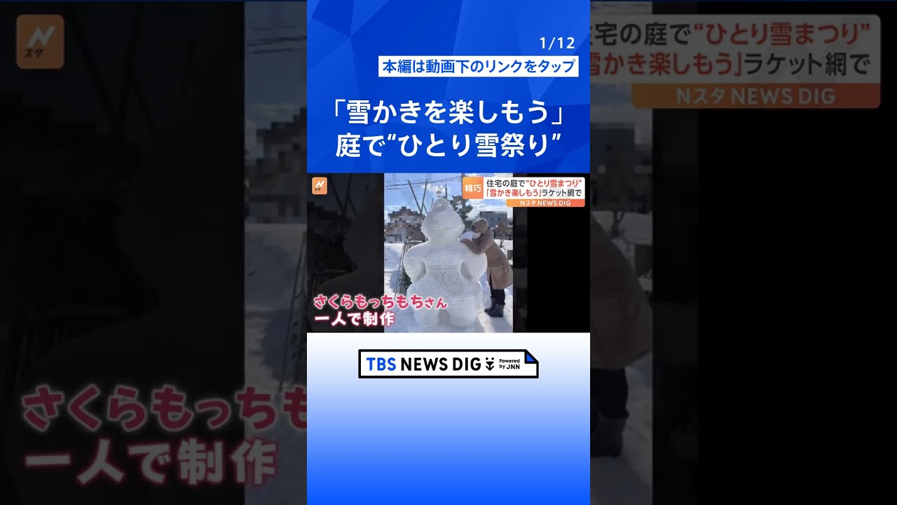 「素人とは思えないクオリティー」精巧な雪像の数々　住宅の庭で“ひとり雪まつり”｜TBS NEWS DIG#shorts