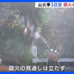 広島・江田島市の山火事 鎮火めど立たず 発生から3日目｜TBS NEWS DIG
