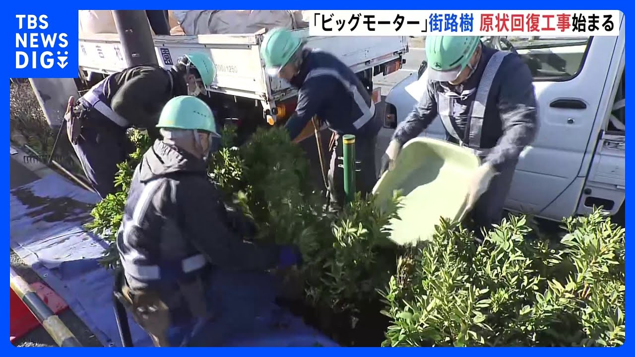 「ビッグモーター」店舗前の街路樹　東京都が原状回復工事を開始｜TBS&nbsp;NEWS&nbsp;DIG