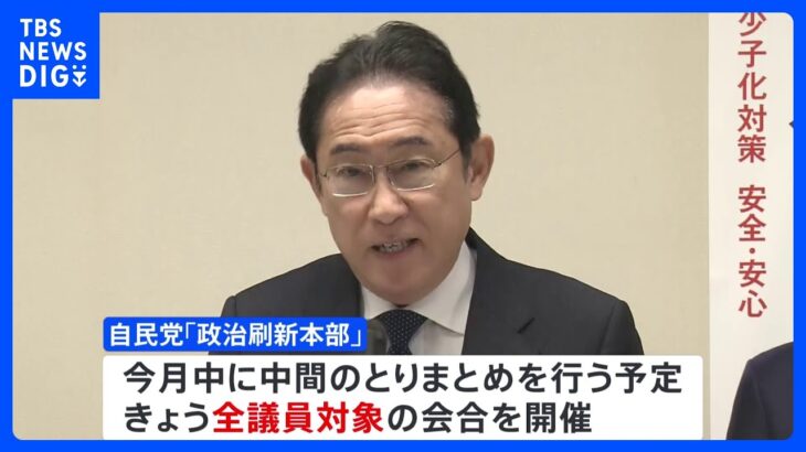 裏金事件受け設置の「政治刷新本部」 きょう自民党所属の全議員対象に会合を開催｜TBS NEWS DIG