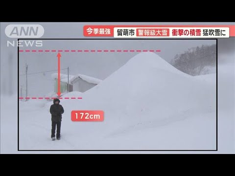 電線に届く？衝撃の積雪　北海道留萌市で警報級大雪　ホワイトアウトも…今季最強寒気【羽鳥慎一モーニングショー】(2024年1月16日)