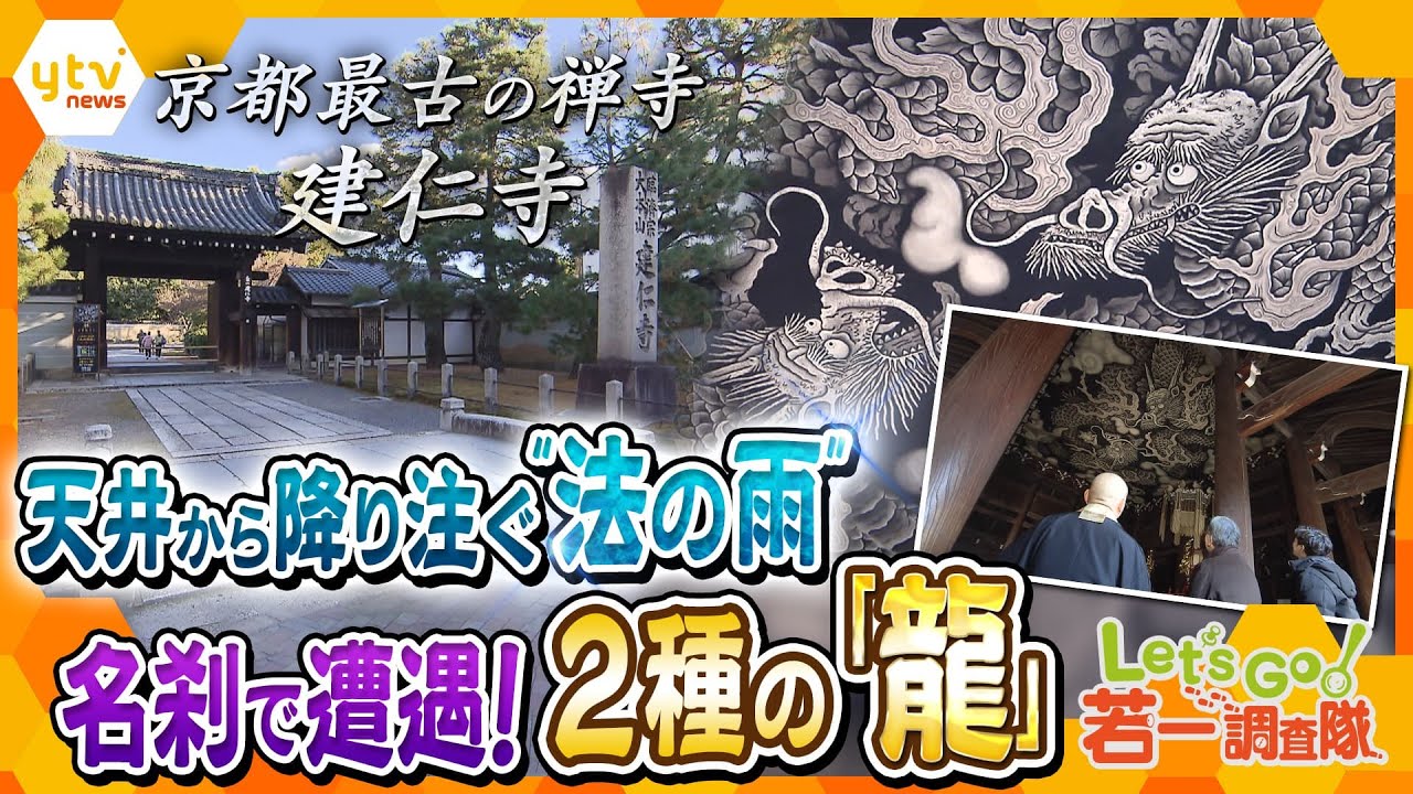 【若一調査隊】天井一面に描かれた「双龍図」、重要文化財の襖絵「雲龍図」美術館のような京都最古の禅寺・建仁寺で「龍」を求めて歴史散策