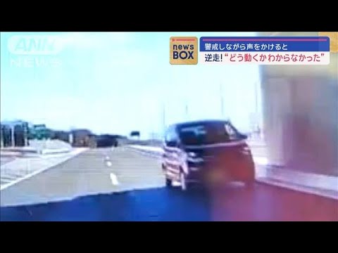 警戒しながら声をかけると逆走!　「どう動くかわからなかった」【スーパーJチャンネル】(2024年1月16日)