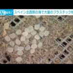 スペイン北西部の海で大量のプラスチック粒が流出(2024年1月16日)